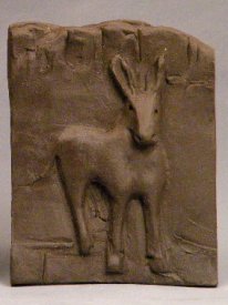 Desert Burros